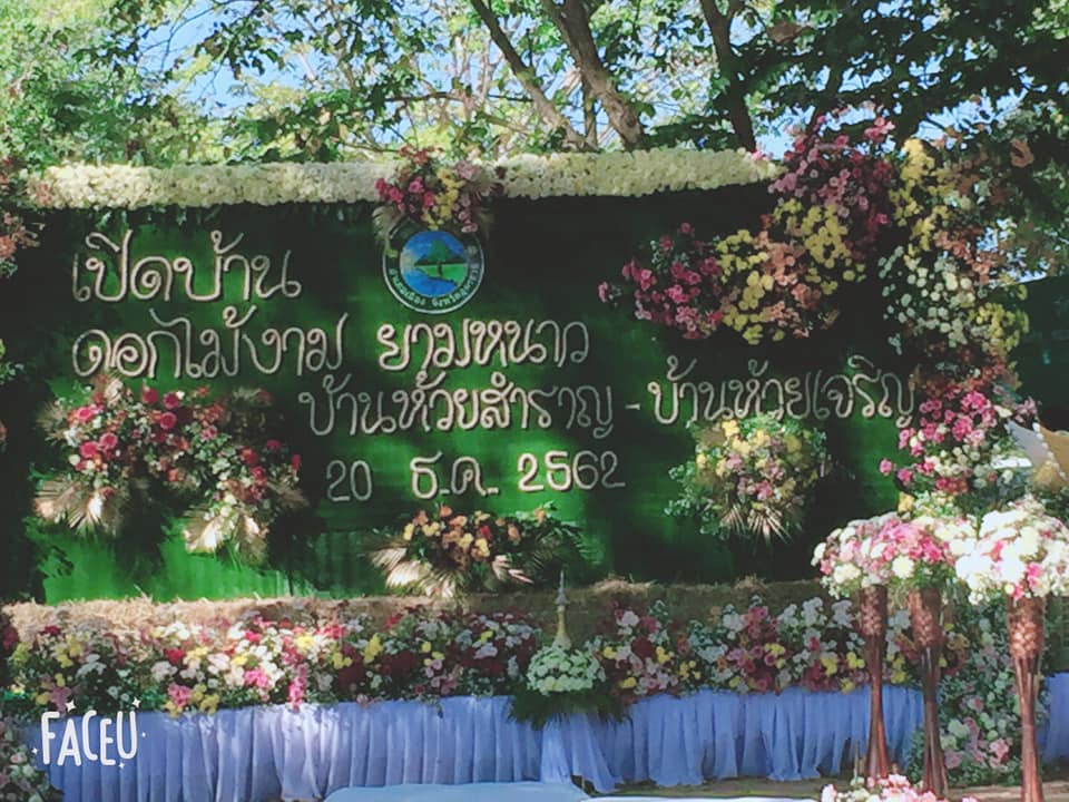 เปดดอกไม